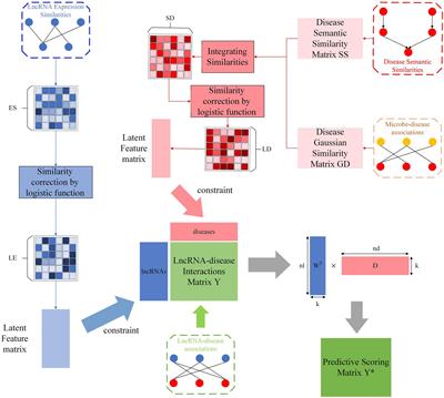 SCCPMD: Probability matrix decomposition method subject to corrected similarity constraints for inferring long non-coding RNA–disease associations